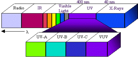 UV A y UV B